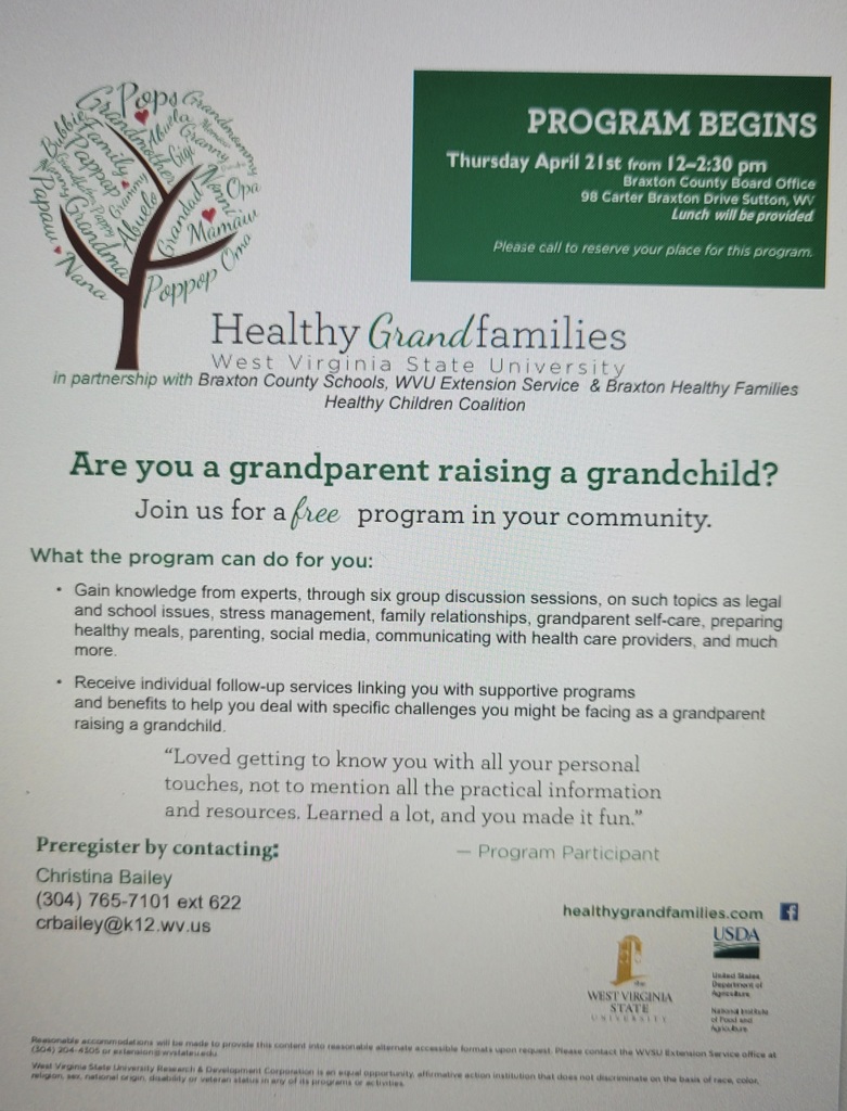 Healthy Grandfamilies Flyer